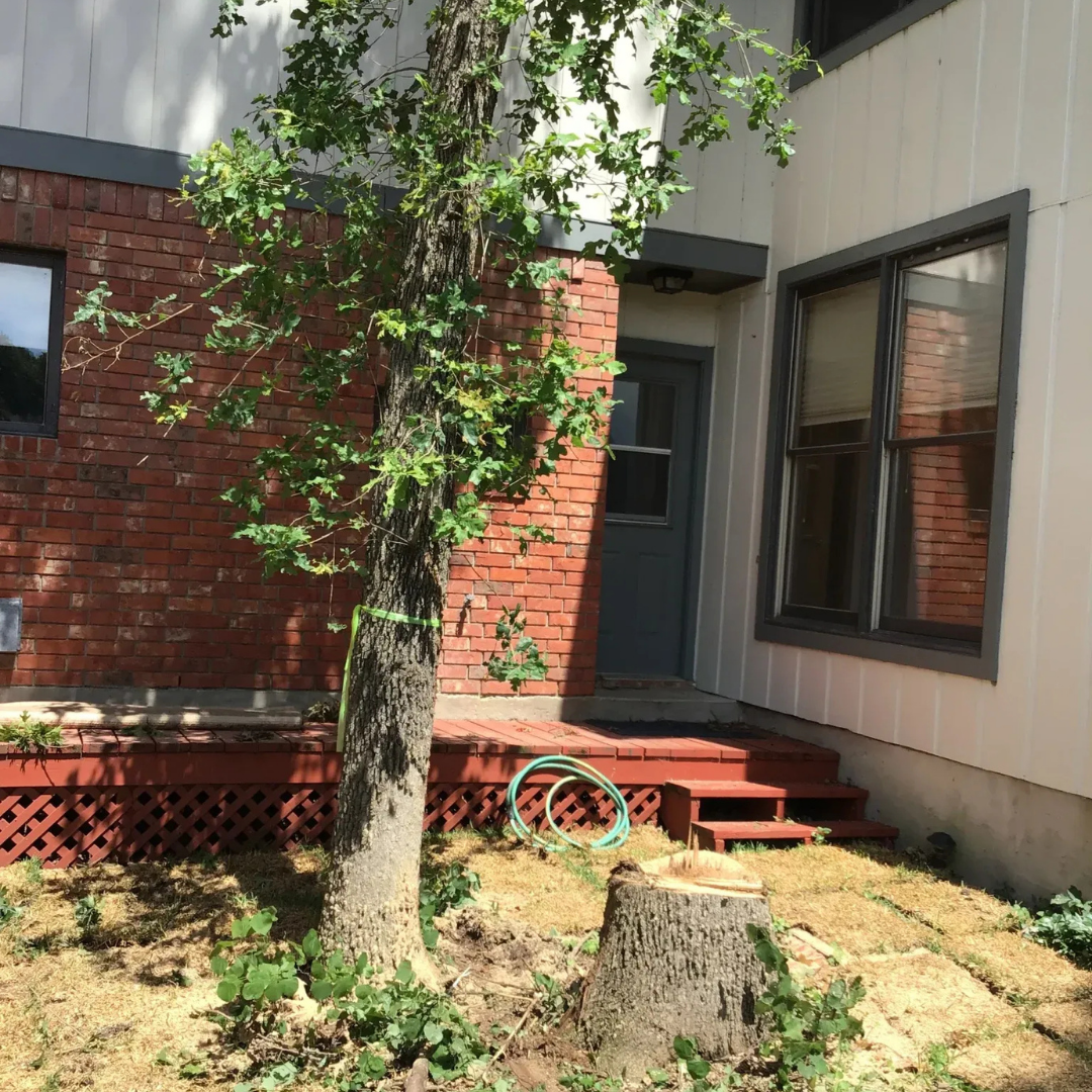 Home 19