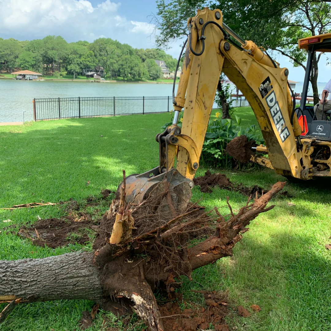 Home tree trimming & removal